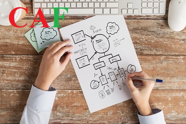 Báo giá dịch vụ lập báo cáo chuyển giá