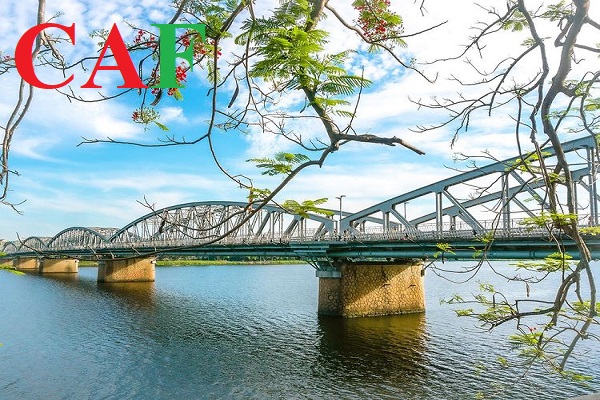 Công ty kiểm toán độc lập tại Thừa Thiên Huế