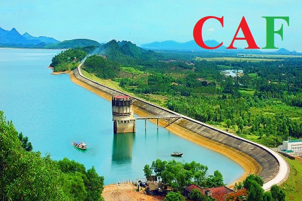 Công ty dịch vụ kiểm toán báo cáo tài chính tại Hà Tĩnh