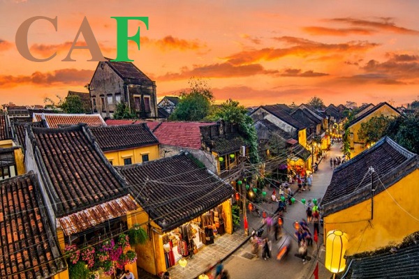 Kiểm toán báo cáo tài chính ở Tam Kỳ Quảng Nam
