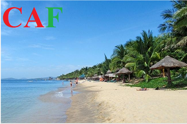 Dịch vụ kiểm toán báo cáo tài chính tỉnh Quảng Nam