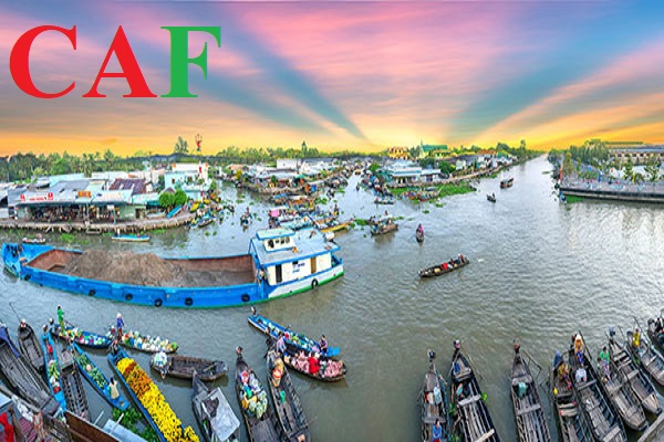 Công ty kiểm toán tại Sóc Trăng