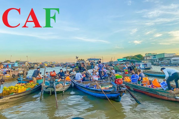 Kiểm toán bctc ở Hậu Giang