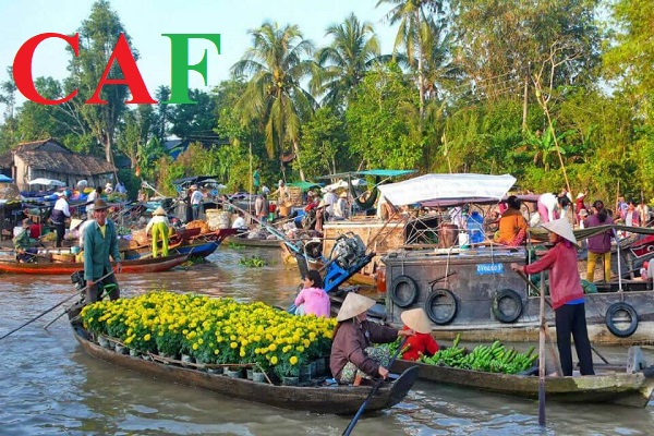 Phí dịch vụ kiểm toán tại Hậu Giang