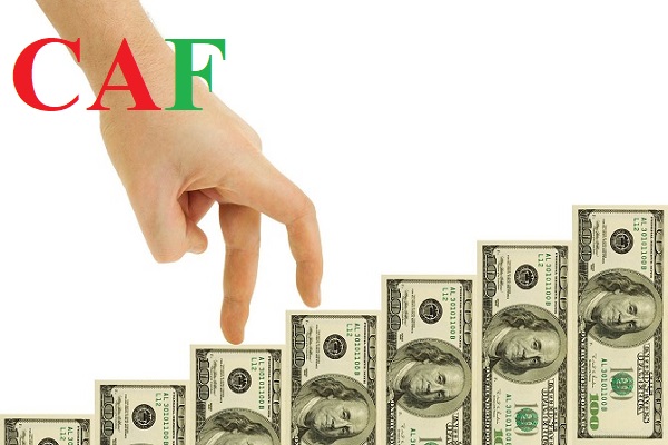 Cách đặt tên công ty hay đúng luật