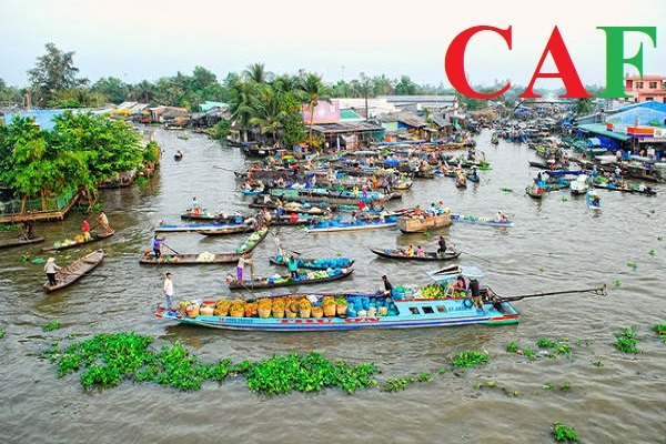 Công ty kiểm toán tỉnh Cà Mau