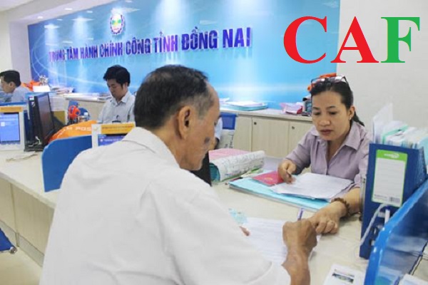 Những dịch vụ mà công ty kiểm toán CAF đang cung cấp hiện nay