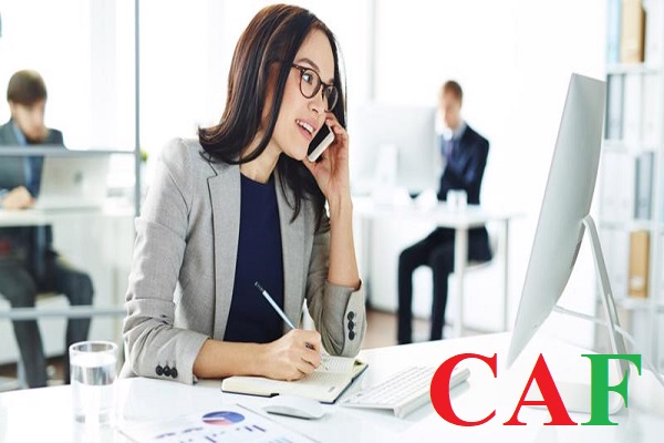 Phí thuê dịch vụ soát xét báo cáo tài chính
