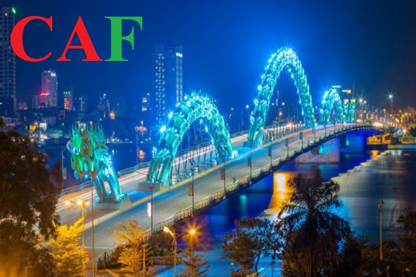 Công ty kế toán kiểm toán uy tín tại TP Đà Nẵng
