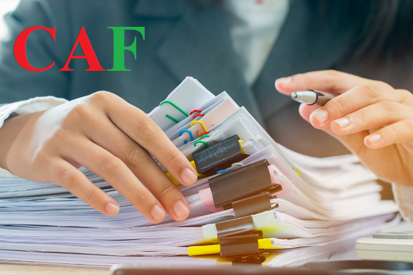 Nhiệm vụ của CAF khi cung cấp dịch vụ kiểm toán uy tín đến khách hàng
