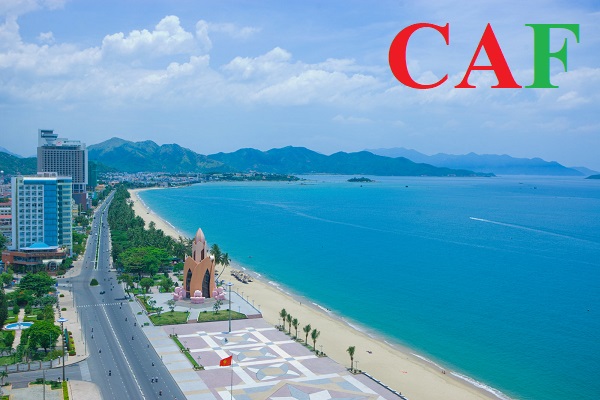 Những dịch vụ kiểm toán mà CAF đang cung cấp hiện nay