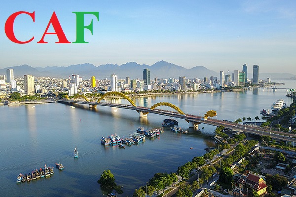 Những dịch vụ thế mạnh uy tín mà công ty kế toán kiểm toán CAF đang cung cấp hiện nay