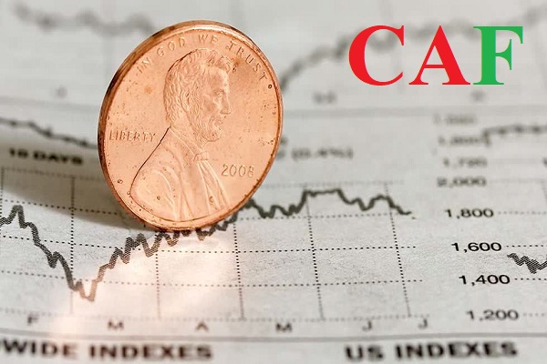 Những dịch vụ uy tín chuyên nghiệp mà CAF đang cung cấp