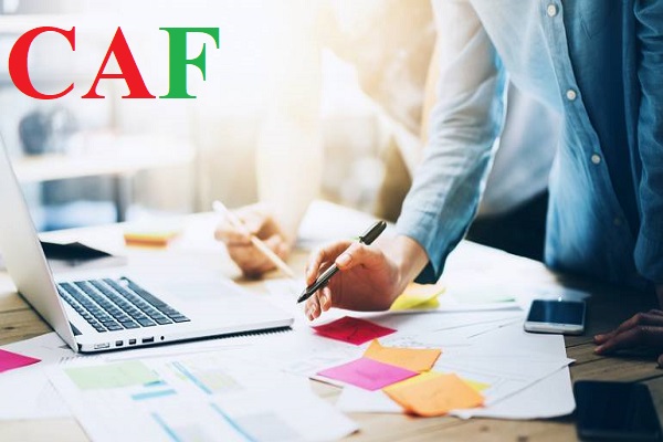 Phí kiểm toán báo cáo tài chính tại Hòa Vang mà CAF đang cung cấp