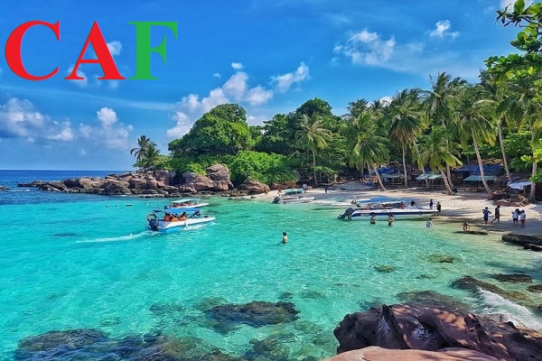 Đặc điểm các phương pháp kiểm toán mà CAF đang áp dụng