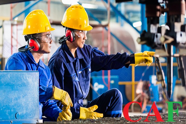 Báo giá xin giấy phép lao động ở Thuận An Bình Dương