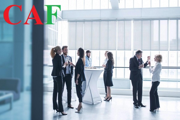 Các nguyên nhân dẫn đến công ty bạn bị đóng mã số thuế