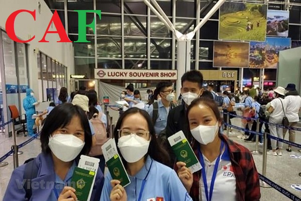 Dịch vụ xin cấp work permit ở Tân Uyên
