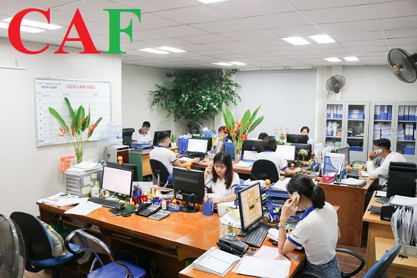 Hiểu về khái niệm chuyên gia khi xin giấy phép lao động cho người nước ngoài ở Tân Uyên