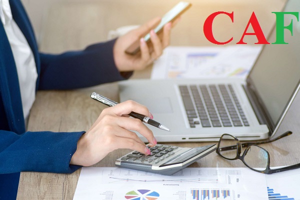 Các giấy tờ mà doanh nghiệp cần chuẩn bị khi thuê dịch vụ báo cáo thuế giá rẻ ở quận 7 TP HCM