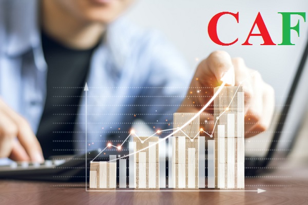 Các gói dịch vụ báo cáo thuế ở quận 9 của CAF