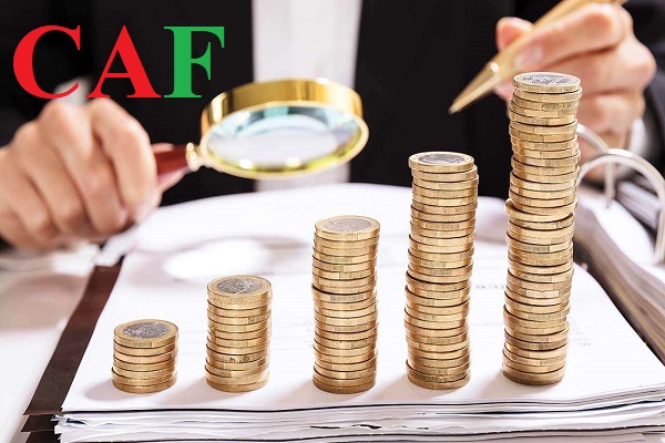 Các thủ tục mà CAF thực hiện với cơ quan Thuế khi cung cấp dịch vụ khôi phục mã số thuế ở Bình Dương