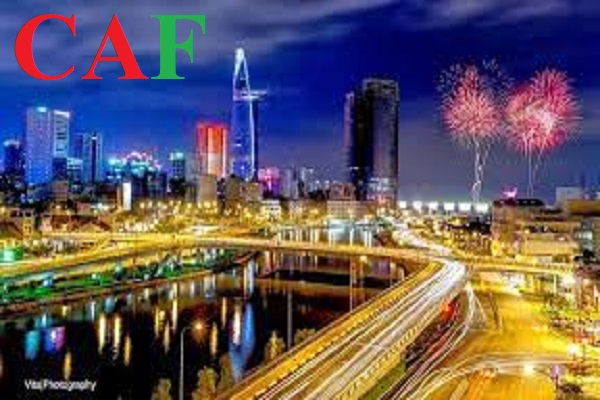 Công ty dịch vụ báo cáo thuế tại quận 4 TP Hồ Chí Minh