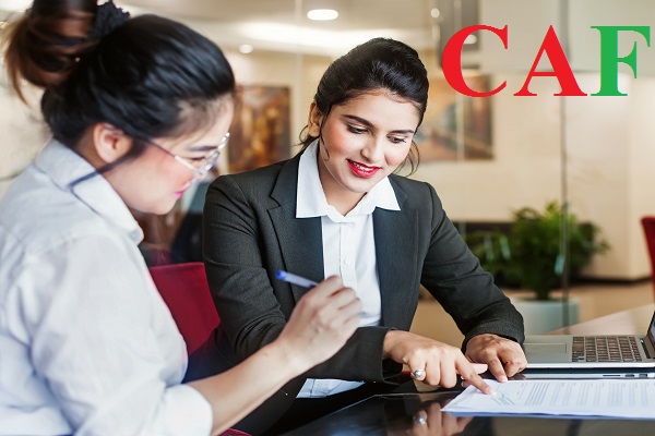 Những dịch vụ pháp lý mà CAF đang cung cấp