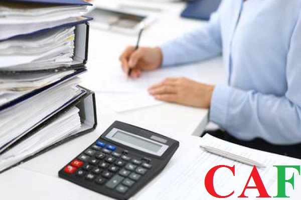 Các hình thức hoạt động đầu tư kinh doanh tại Việt Nam gồm