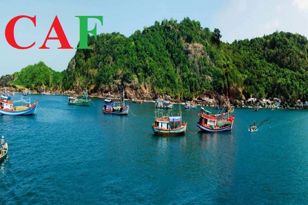 Các thành phố huyện mà CAF cung cấp dịch vụ kiểm toán độc lập tại tỉnh CÀ MAU
