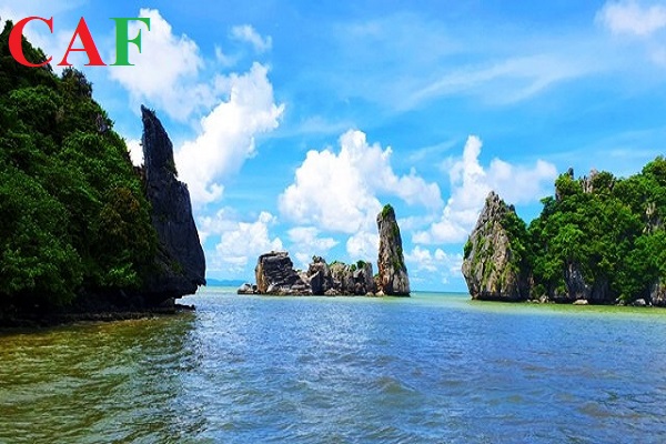 Công ty dịch vụ kiểm toán độc lập uy tín tỉnh KIÊN GIANG