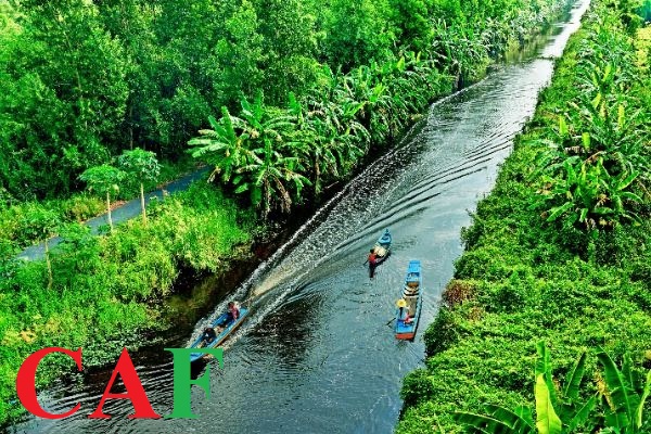 Dịch vụ của công ty CAF tại Cà Mau