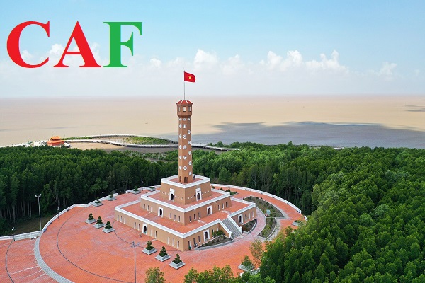 Dịch vụ kiểm toán bctc để đấu thầu Cà Mau