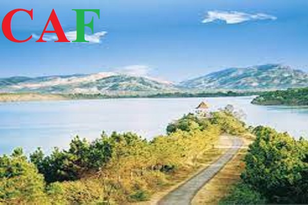 Lý do nên chọn dịch vụ kiểm toán của Công ty CAF tại tỉnh Gia Lai
