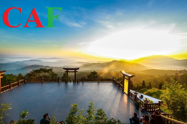 Thuê dv kiểm toán bctc để bổ sung hồ sơ ngân hàng ở Lâm Đồng