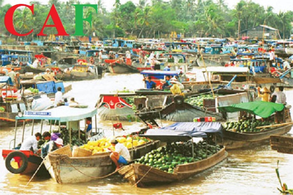 Báo giá kiem toan dich vu ở Cái Bè Tiền Giang