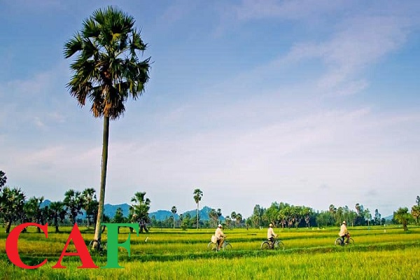 Dich vu kiem toan doc lap tai huyện Châu Phú tỉnh An Giang