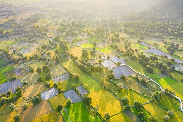Kiểm toán vốn doanh nghiệp tại tỉnh An Giang