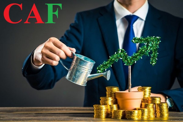 Chỉ số DXY là gì và ảnh hưởng như thế nào đến thị trường tài chính