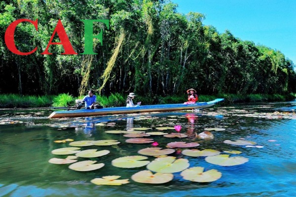Báo cáo thuế dịch vụ tại Tân An uy tín giá tốt