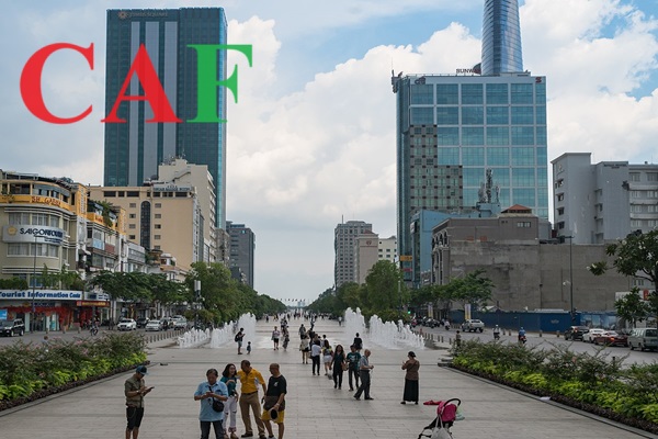 Dịch vụ báo cáo thuế uy tín tại quận 1 Tp Hồ Chí Minh