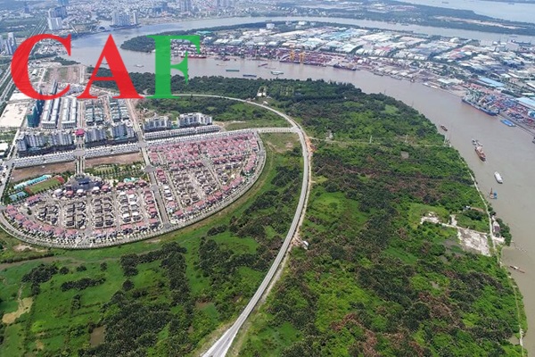 Dịch vụ kiểm toán quận 2