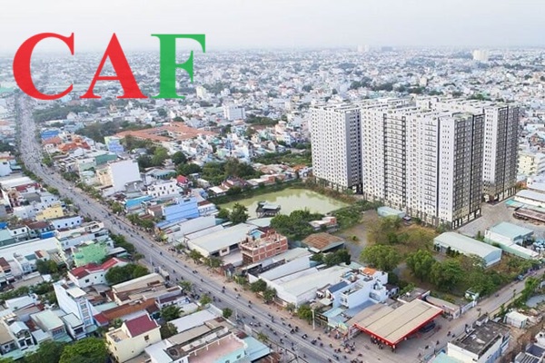 Kiểm toán trọn gói uy tín tại quận 12