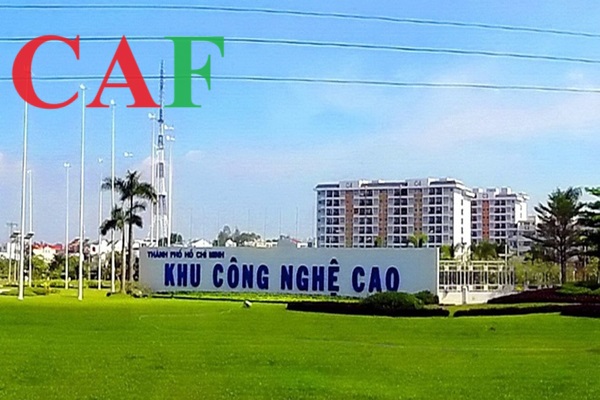 Thuê công ty kiểm toán uy tín tại quận 9