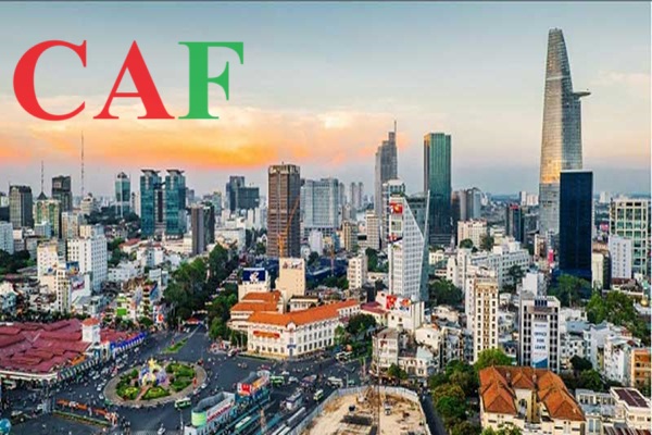 Công ty kế toán báo cáo thuế quận 1 thành phố Hồ Chí Minh