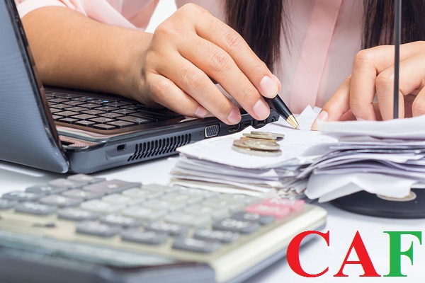 Top các công ty báo cáo thuế và kiểm toán quận 4