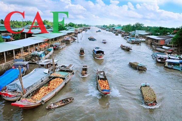 Kiểm toán báo cáo tài chính chuyên nghiệp tại Mỏ Cày Nam Bến Tre