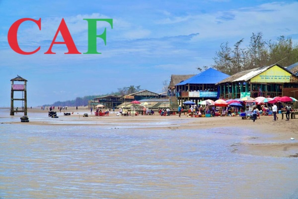 Kiểm toán dịch vụ ở huyện Thạnh Phú tỉnh Bến Tre