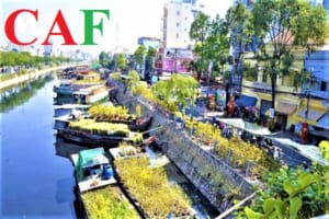 Công ty dịch vụ kế toán thuế quận 8 thành phố Hồ Chí Minh