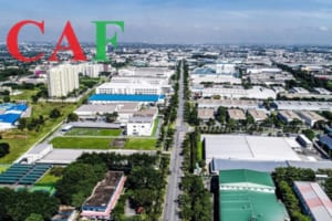 Dịch vụ kế toán thuế trọn gói quận Bình Tân